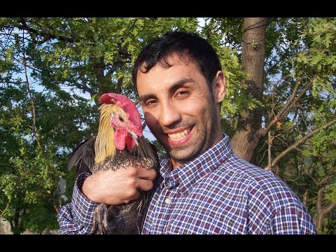 Çil Horoz – Kanal 7 TV Filmi