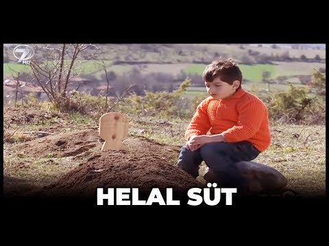 Dini Film – Helal Süt