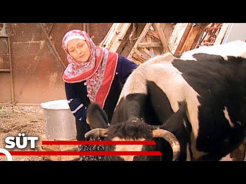 Süt – Kanal 7 TV Filmi